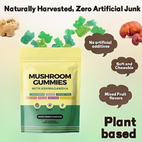 Gummies aux champignons Plant People WonderFocus Lion's Mane Cordyceps Ashwagandha 60 unités Soutien immunitaire Sans sucre Végétalien Saveur agrumes