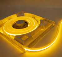 Bande LED intelligente RGB DMX à pixels adressables, en silicone pur, flexible, néon IP68, lumière de poursuite RGB, néon flexible pour bar/disco, bricolage, application/télécommande