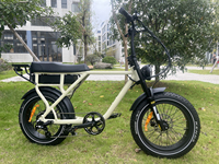 Vente chaude rétro haute vitesse 750w-1500w Ebike 60v vélo électrique avec batterie au lithium 15ah et cadre en alliage d'aluminium gros pneu