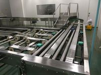 Four à tunnel électrique automatique en acier inoxydable avec convoyeur de chargement et de déchargement pour boulangerie, neuf, pour le traitement de la farine de blé, marque LINKON
