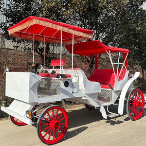 Carruaje Turístico a Caballo, Carruaje Eléctrico Estilo Cenicienta para Bodas - Product Image 1