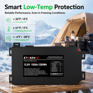 <span class=keywords><strong>Batterie</strong></span> LiFePO4 12V 100Ah ultra-mince, profil fin de 2,36 pouces, boîtier métallique <span class=keywords><strong>pour</strong></span> véhicule tout-terrain, système solaire - Product Image 4