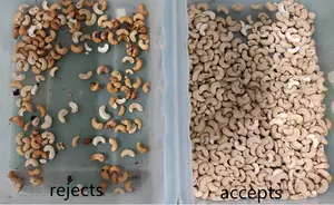 Mesin Sortir Almond Mesin Penyortir Warna Penyortir Kacang Almond untuk Pemisahan Kacang dan Cangkang Di Yunani