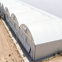 Goedkope tomaten- en aardbeienkweektunnels, polycarbonaat multi-span PC landbouwkassen