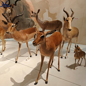 Statua Animatronica di Cervo a Grandezza Naturale di Qualità Museale per Esterni con Costruzione in Silicone e Metallo per Zoo e Parchi - Product Image 6