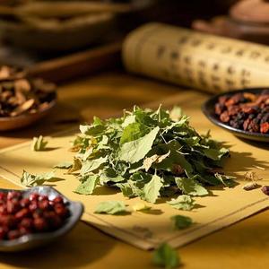 Hierbas secas naturales Té de hojas de morera Hojas de morera secas Sang Ye Hierba seca Gránulos enteros de FOLIUM Mori Té de hierbas - Product Image 3