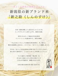 SHINNOSUKE Japon – Lait hydratant émulsion à nano-bulles de riz – Soin cosmétique hydratant pour le visage – Lait essentiel lissant - Product Image 2