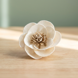 Venta al por mayor de varillas difusoras de aroma de madera de Sola de 5 cm, flores decorativas artificiales secas para bodas y hogar, blancas, ecológicas, para interiores. - Product Image 3