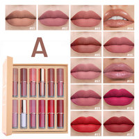 12 couleurs mat brillant à lèvres ensemble étanche séchage rapide antiadhésif tasse nue lèvre tache Kit professionnel femmes lèvres maquillage cadeau Kit