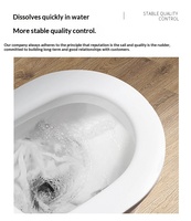 Couvre-siège de toilette jetable en papier soluble et biodégradable avec 10 feuilles pour hôtel et voyage
