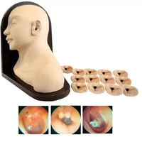 Modelos multifuncionales de ciencia médica para exámenes de oído y procedimientos de tratamiento Modelos de enfermería para el cuidado del oído humano