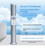 Cartouche filtrante au charbon actif de coque de noix de coco CTO, élément filtrant à coque en PP de qualité alimentaire, taux d'adsorption élevé, remplacement