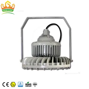 GYD Explosion Proof Led Light IP66 WF2 Flame Proof Led High Bay Light 20-240W For Harsh and Heavy Industrial Applications