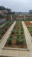 Molde de plástico ABS prefabricado para piedra de jardín, para pilar de puerta exterior con refuerzo de varilla de alta resistencia