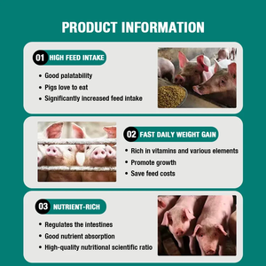 Professional Animal Fodder Grade Dried Seaweed Powder Soybean Meal Feed Additive High Protein for Pig/Cattle/Horse/Chicken - Product Image 3