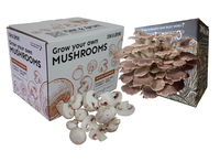 Boîte de culture de champignons vide avec impression de logo personnalisée, kit de culture de champignons, boîtes d'emballage en carton ondulé pour la culture de champignons