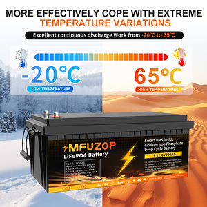Baterai LiFePO4 12V 200AH Paket Baterai Lithium LFP 12.8V untuk RV/Golf Cart/Yacht/Marine Penyimpanan Energi Surya Garansi 3 Tahun - Product Image 5