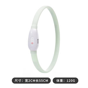 Factory Direct Sale LED blinkendes Haustier halsband Glühendes Hunde halsband Zum nächtlichen Gehen mit einem Hund - Product Image 6