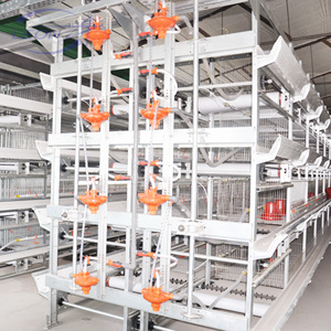 Système de cages à poulets de chair entièrement automatique : alimentation automatique, nettoyage du fumier, contrô<span class=keywords><strong>le</strong></span> de l'environnement, augmentation de l'efficacité, réduction des coûts - Product Image 2