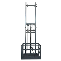 Monte-charge hydraulique à rail unique de 500 kg pour entrepôt, élévateur de fret vertical