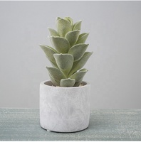 Petite plante artificielle de cactus en pot A-3053 pour décoration intérieure