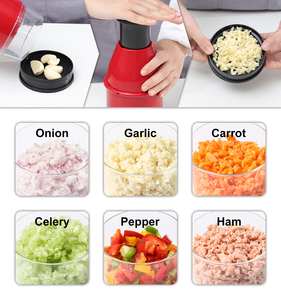 Hachoir à légumes manuel en acier inoxydable pour cuisine, presse-oignon et hachoir à ail - Product Image 3
