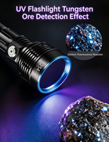 Lampe torche UVC à ondes courtes 254 nm pour la détection de minéraux fluorescents, de phosphorescents et de plaques de chromatographie TLC sur de grandes surfaces