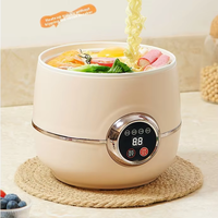 Mini-cuiseur à riz portable 400W à faible consommation, multifonction, pour soupes, nouilles, fondue, avec fonction de réservation intelligente