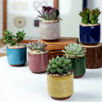 Pot de fleurs respirant effet craquelé, mini jardinière de bureau pour arrangement de plantes succulentes, en céramique colorée et fraîche