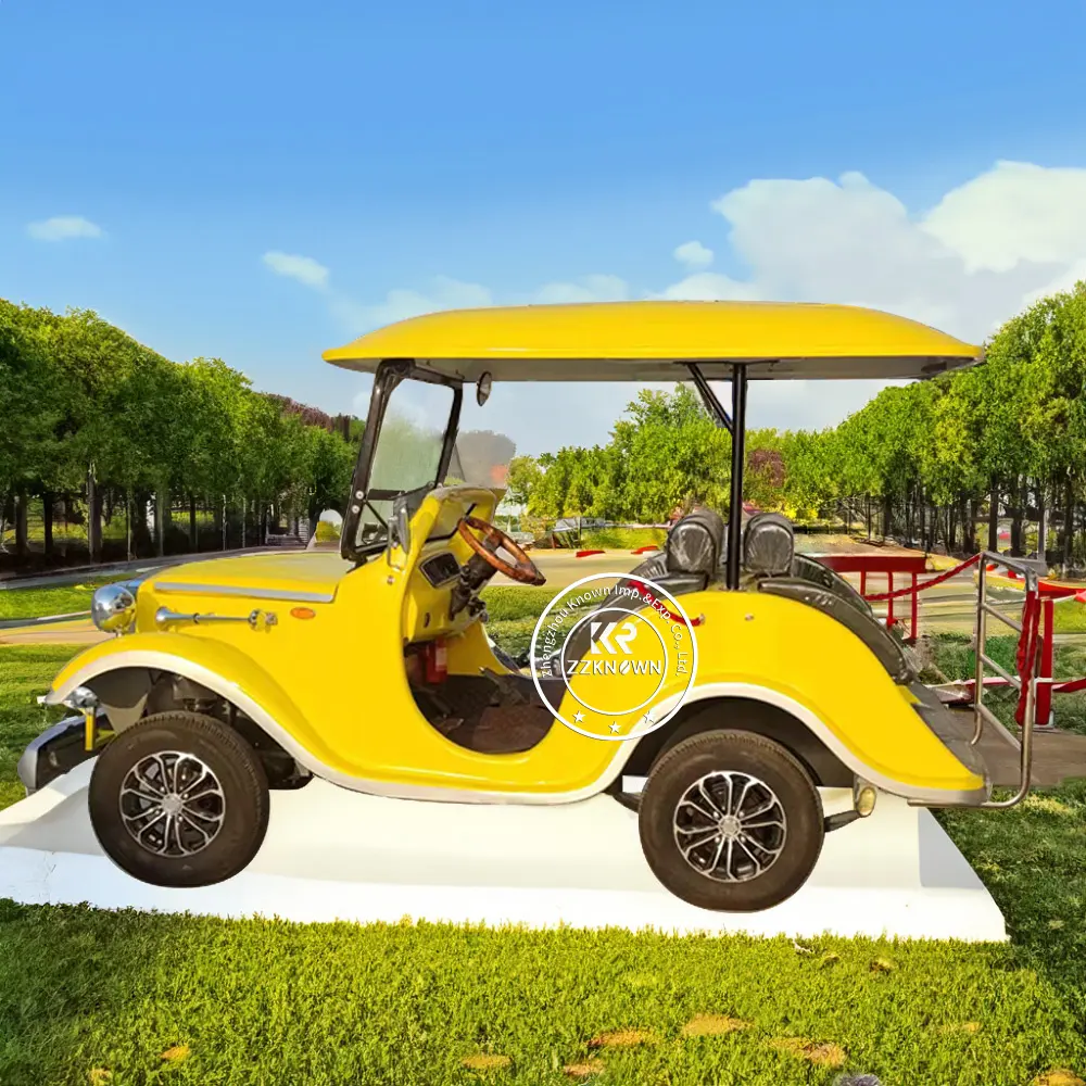 Electr Club Auto Mini 5 Sitzer Elektro-Golf-Kutschwagen Elektroautos 5 Sitzer Fahrzeug zu verkaufen