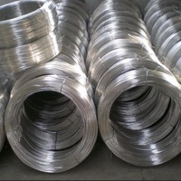 Fil galvanisé électrolytique de 0,45 mm, fil de fer galvanisé recouvert de zinc, fil galvanisé de 8 mm, fil de ligature galvanisé de 1,6 mm