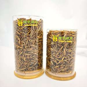 Böcek Proteini Toptan Doğrudan Fabrikadan Yüksek Proteinli Kurutulmuş Kara Asker Sineği Larvaları - Product Image 4