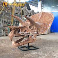 Crâne de Triceratops grandeur nature à fixer au mur Z MY DINO à vendre