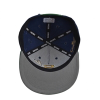 Casquette Snapback 5 Panneaux en Coton 100% avec Broderie 3D et Impression Sérigraphique, Style Hip Hop/Casual, pour le Sport et les Activités de Plein Air