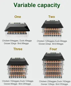 عالية الجودة بيض جاهز للفقس الدجاج بطة حمامة السمان البيض التلقائي آلة التفريخ البيض حاضنة للبيع