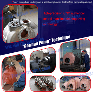 Gorman <span class=keywords><strong>Rupp</strong></span> Pompe à eaux usées auto-amorçante T10 10 pouces résistante à la corrosion vérifiée - Product Image 3