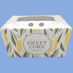 Có thể gập lại giá tốt không thấm nước PP rỗng Ngô bao bì hộp tái sử dụng sóng nhựa Poly vận chuyển trái cây doanh thu hộp - Product Image 1