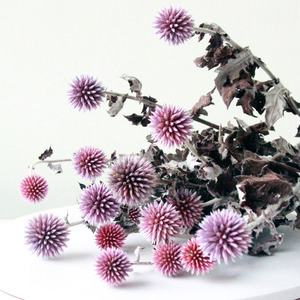 Flores decorativas coloridas al por mayor cardo de globo seco <span class=keywords><strong>Echinops</strong></span> secas flores de Eryngium azul preservadas para la decoración de la boda del hogar - Product Image 2