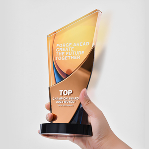 <span class=keywords><strong>2025</strong></span> Tùy chỉnh cao cấp sáng tạo pha lê <span class=keywords><strong>Trophy</strong></span> New Craft in màu cho nhà vô địch kỷ niệm bầu không khí chào đón Quà Tặng - Product Image 3