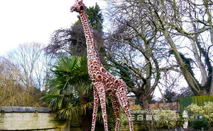 Zoo Park Grote Levensgrote Animatronic Dier Giraffe Standbeeld Voor Klanten Te Trekken - Product Image 6
