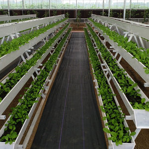 Système d'irrigation hydroponique standard pour ferme, <span class=keywords><strong>gouttière</strong></span> trapézoïdale en vinyle écologique - Product Image 4