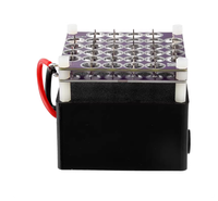 DC12V22KV Negative Oxygen Ion Generator for Purification, Deodorization, Dust Removal, and Smoke Removal