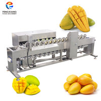 Automatische Hoge-Efficiëntie Mango Pitverwijderingsmachine 304 RVS CE ISO Gecertificeerde Fruitverwerkingsmachine