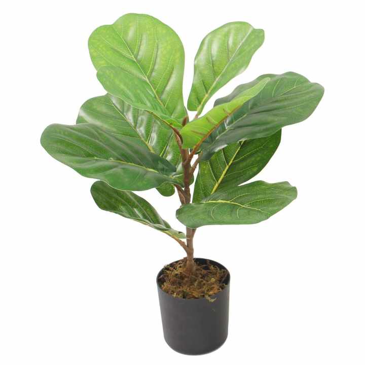 High Quality Artificial Potted Plants Large Leaves Ficus Pandurata