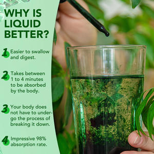 อาหารเสริมสุขภาพฉลากส่วนตัว ช่วยระบบย่อยอาหาร คลอโรฟิลล์บริสุทธิ์จากธรรมชาติ น้ำยาดีท็อกซ์และทำความสะอาดร่างกาย คลอโรฟิลล์เหลวแบบหยด - Product Image 4