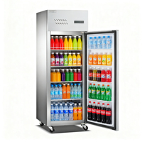 Réfrigérateur Vitrine à Porte Unique, Système de Refroidissement par Air et Option de Refroidissement par Tuyau, Économe en Énergie 304, Refroidisseur de Boissons pour Bar
