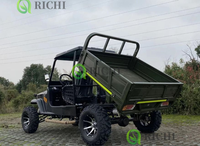 Nouveaux produits personnalisés, 4 roues motrices, capacité de 2 places, Jeep à essence, voiture utilitaire, pratique, durable, Jeep Kart Buggy