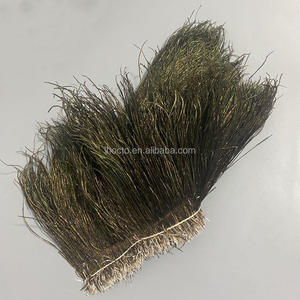 Lot de plumes de paon brutes de 5 à 8 pouces bon marché pour la fabrication de costumes de carnaval - Product Image 5