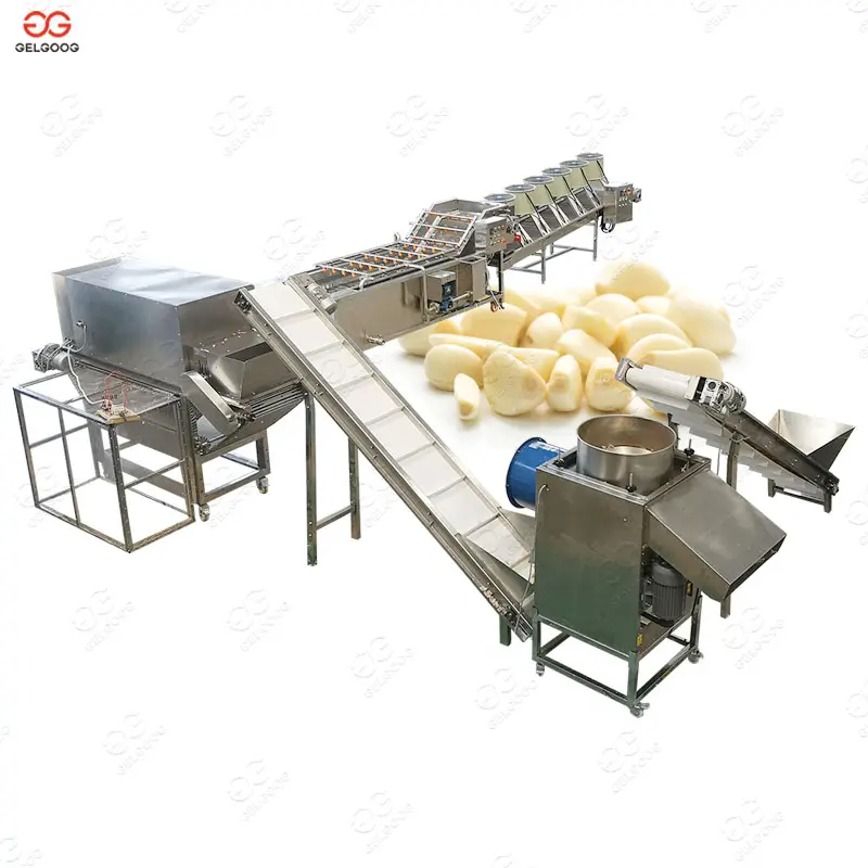 Gelgoog-trituradora de solución de planta de procesamiento Industrial de ajo, máquina separadora de ajo pelador