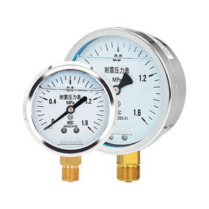 Manómetro de Gas de Baja Presión, Medidor de Presión Hidráulica, Manómetro para Hidrante Contra Incendios, Manómetro Dúplex - Product Image 6